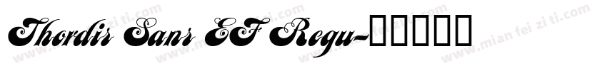 Thordis Sans EF Regu字体转换